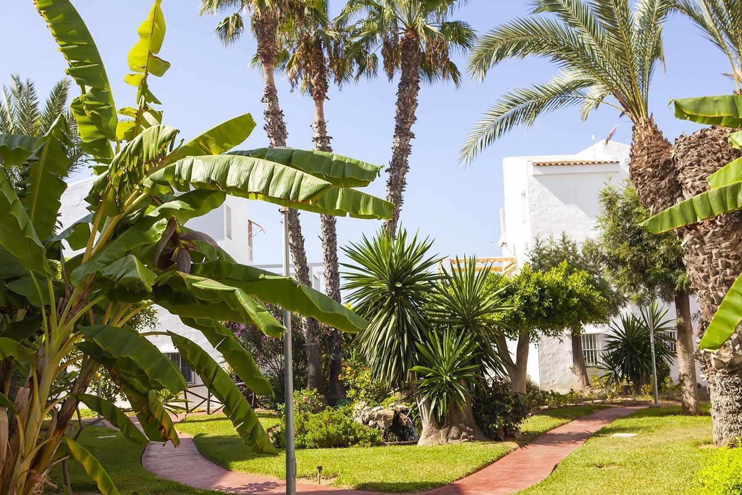 A 100M De Playa Piscina Y Todos Los Servicios Lejlighed Torrox Eksteriør billede