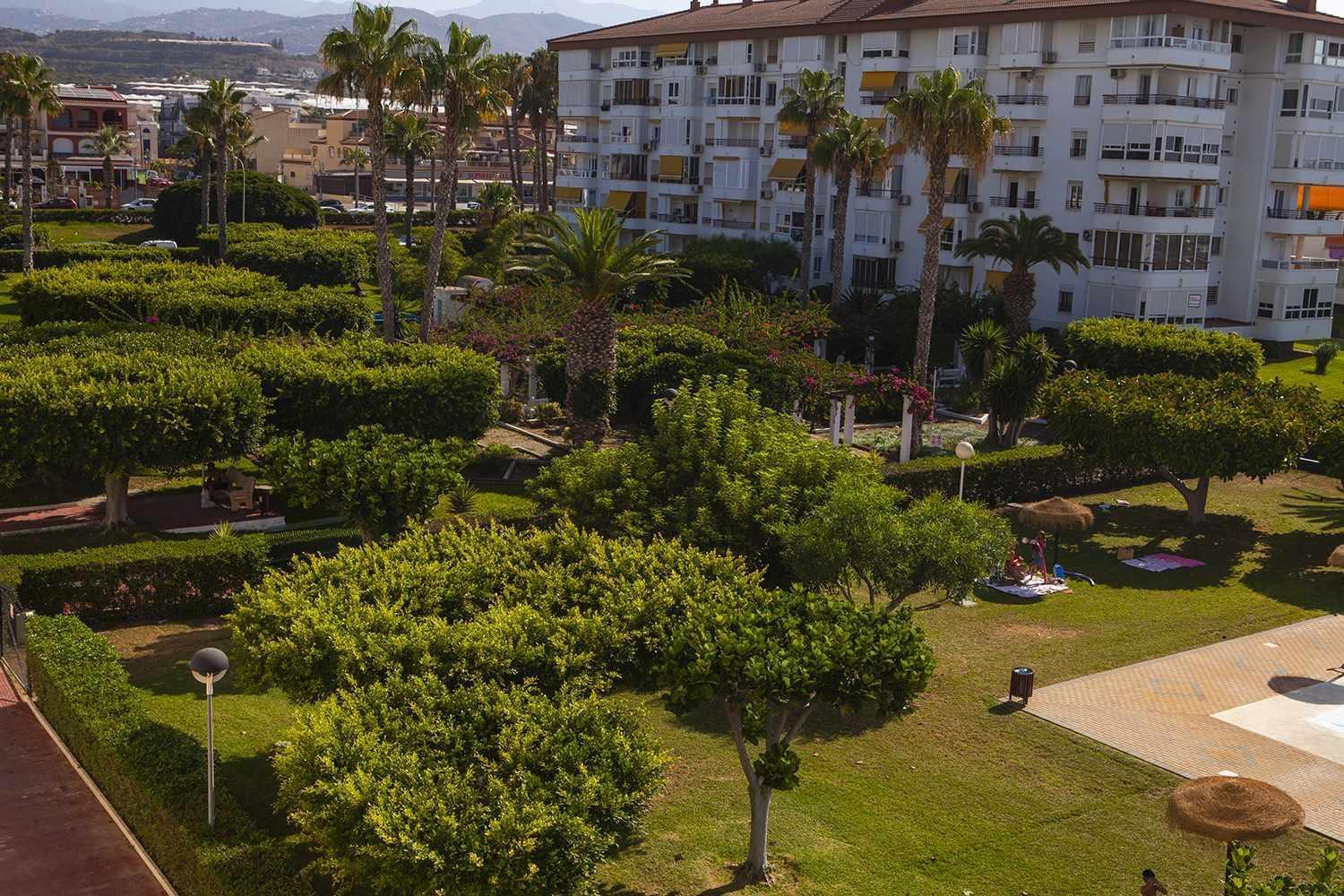 A 100M De Playa Piscina Y Todos Los Servicios Lejlighed Torrox Eksteriør billede